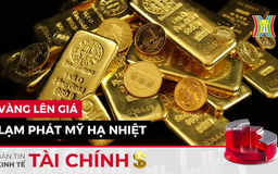 Bản tin Kinh tế Tài chính | 15/01/2025