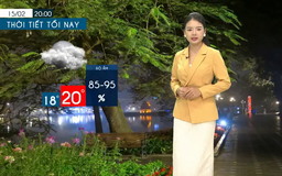 Dự báo thời tiết tối | 15/02/2025