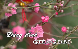 Đủng đỉnh Giêng Hai | Nhịp sống Hà Nội | 15/02/2025