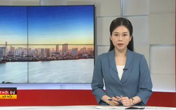 Chương trình Thời sự 11h30 | 15/03/2025