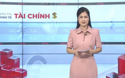 Bản tin Kinh tế Tài chính | 15/06/2025