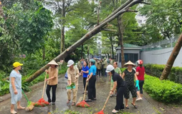 Đồng sức, đồng lòng mang màu xanh trở lại Thủ đô