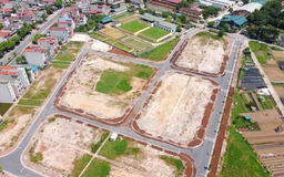 Đất đấu giá không còn 'sốt ảo'