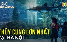 Khám phá thuỷ cung trong nhà lớn nhất tại Hà Nội | Hà Nội Reviews | 16/02/2024