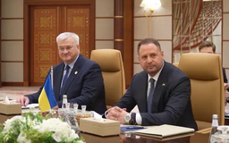 Lộ diện người dẫn đầu phái đoàn hòa bình Ukraine