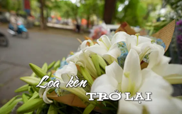 Loa kèn trở lại | Nhịp sống Hà Nội | 16/04/2025