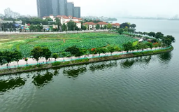 Buổi sáng mùa hạ ở hồ Tây