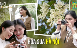 Mê mẩn nét trắng tinh khôi hoa sưa Hà Nội | HANOI Review | 16/03/2025