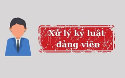 Kỷ luật nhiều cán bộ sai phạm trong dự án cây xanh
