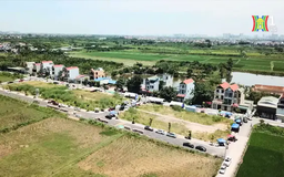 Xử lý nghiêm hành vi bỏ cọc trúng đấu giá đất