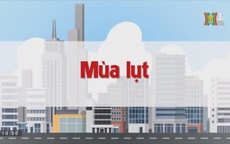 Mùa lụt | Chuyện quanh ta | tập 183 | 17/10/2023