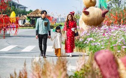 Hấp dẫn đường hoa Home Hà Nội Xuân 2023