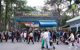 Đi chơi Vườn thú Hà Nội