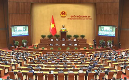 Quốc hội họp về công tác nhân sự, cơ cấu tổ chức của Chính phủ
