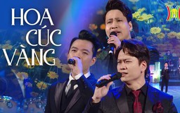 Hoa cúc vàng