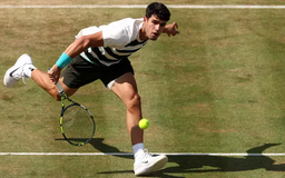 Alcaraz, Sinner khởi đầu thuận lợi ở Queen’s Club và Halle Open
