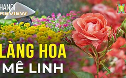 Khám phá 'thủ phủ' hoa hồng của Hà Nội | Hà Nội Reviews | 19/01/2024