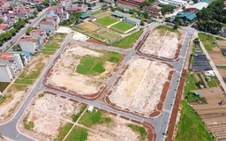 Đấu giá đất tập trung để tránh lũng đoạn thị trường