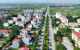 Đất như thế nào được đưa ra đấu giá?