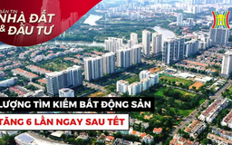 Bản tin Nhà đất và đầu tư | 19/02/2025