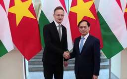 Thúc đẩy quan hệ Đối tác Toàn diện Việt Nam - Hungary