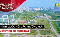 Bản tin Nhà đất và đầu tư | 19/04/2025