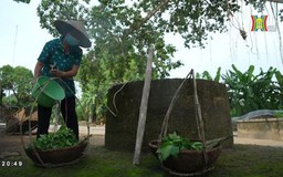 Mát trong giếng làng