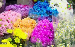 Chợ hoa Hàng Lược nhộn nhịp ngày 29 Tết