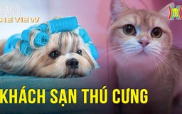 Thú cưng cũng cần đi spa, khách sạn?! | Hà Nội Reviews | 20/01/2024