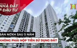 Bản tin Nhà đất và đầu tư | 20/01/2025