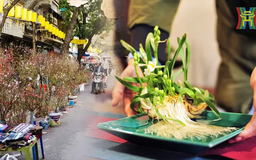 Thú chơi hoa Tết của người Hà Nội