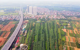 Huyện Thường Tín sẽ đấu giá gần 20.000 m2 đất
