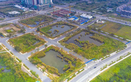 Ngăn chặn 'lũng đoạn' thị trường qua đấu giá đất tập trung