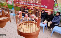 Thú chơi chim cảnh của người Hà Nội
