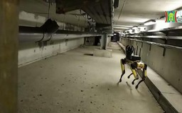 Chó robot sửa chữa hệ thống tàu điện ngầm ở Paris