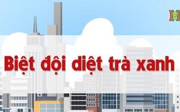 Biệt đội diệt trà xanh | Chuyện quanh ta | tập 93 | 18/08/2023