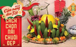 Cách chọn nải chuối đẹp thắp hương ngày Rằm và Tết