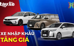 Nhiều mẫu xe nhập khẩu tăng giá bán | Bản tin Tàu và Xe | 22/01/2025