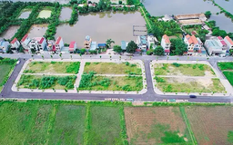 Huyện Thanh Oai đấu giá 81 thửa đất