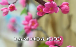 Làm hoa khô | Nhịp sống Hà Nội | 22/03/2025