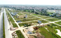 Đất đấu giá Thanh Oai cao nhất 76,3 triệu đồng/m2