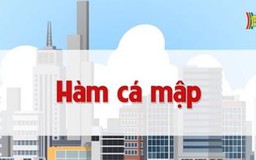 Hàm cá mập | Chuyện quanh ta | tập 99 | 21/08/2023