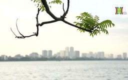 Cuối tuần ở Hồ Tây