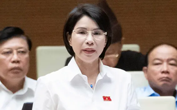 ĐBQH lo ngại nguy cơ 'độc quyền giá thuốc' trên thị trường