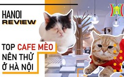 Hanoi Review (ngày 23/01/2023)