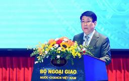 Vai trò kiến tạo hòa bình của ngoại giao