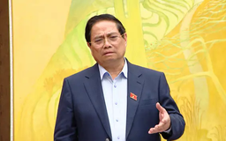 'Chấp nhận mất mát để khắc phục hậu quả lãng phí'