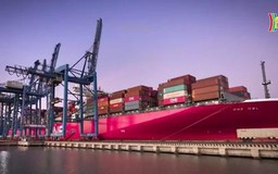 Đề xuất tăng giá dịch vụ hoa tiêu