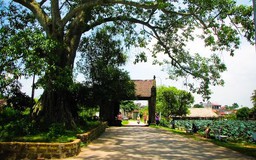 Du lịch làng Việt cổ nghìn năm tuổi