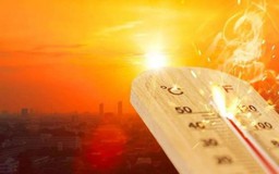 Năm nay thế giới có thể trải qua đợt nóng kỷ lục